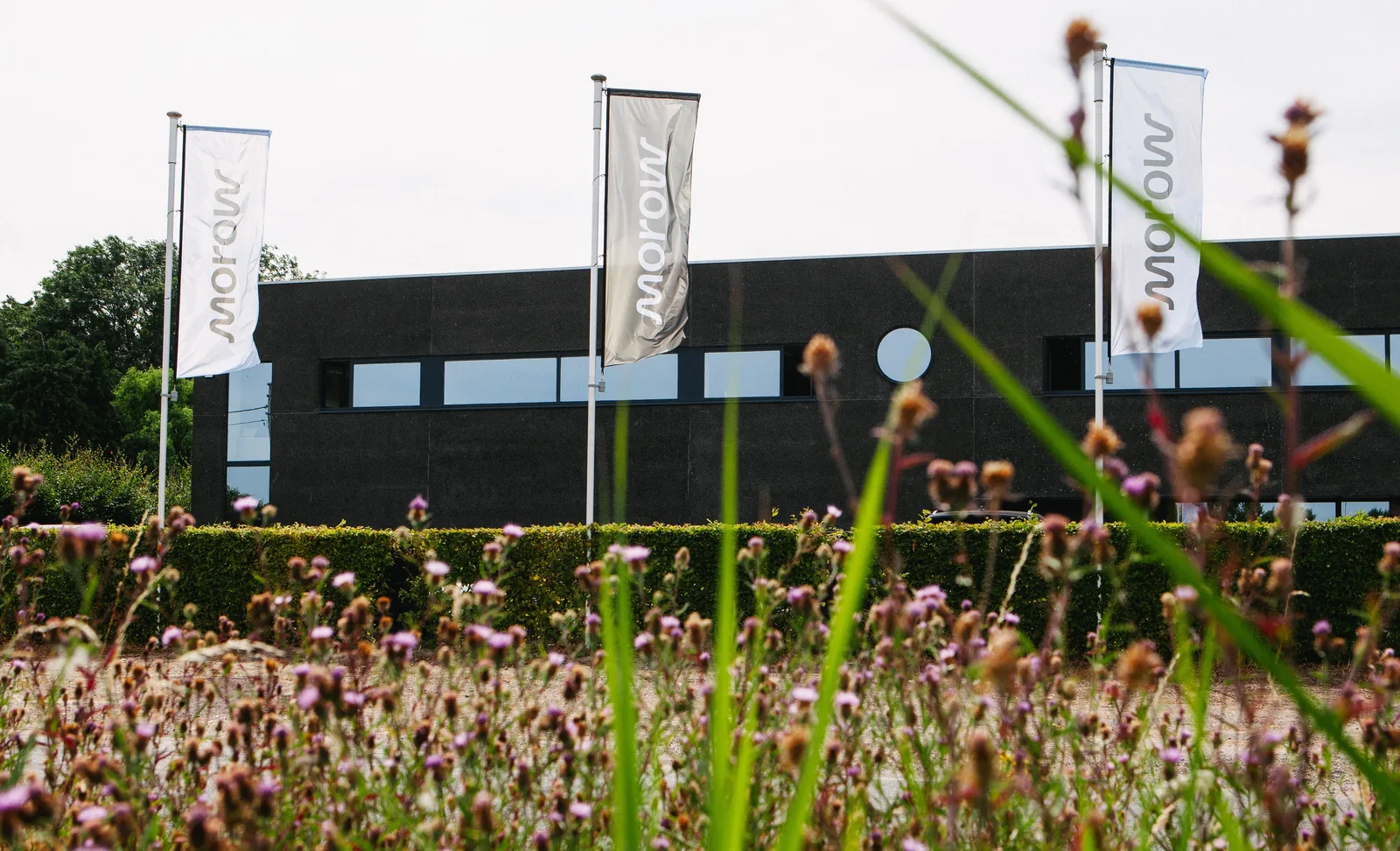 Morow vlaggen voor het kantoorgebouw